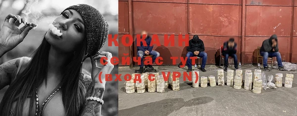 кокс Богородск