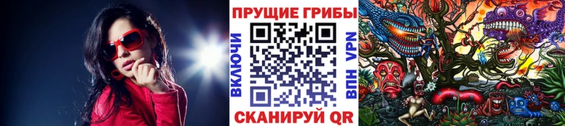 Галлюциногенные грибы Magic Shrooms Дудинка